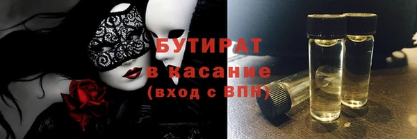 индика Алзамай