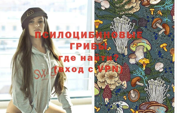 гидропоника Алексеевка