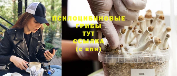 спиды Алексин