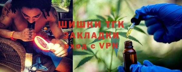 индика Алзамай