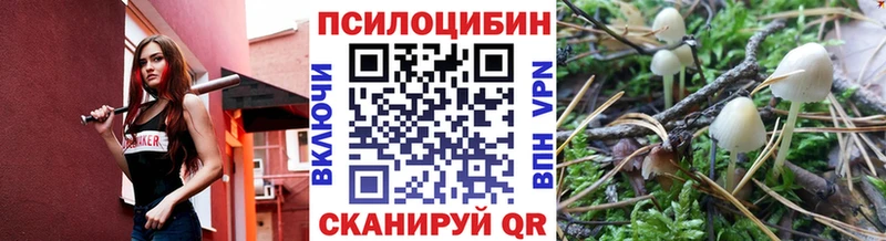 Псилоцибиновые грибы GOLDEN TEACHER  Бежецк 